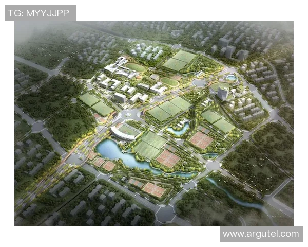 北京足球队战术解析与未来发展方向的深度探讨