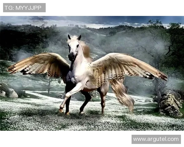 达拉飞马与梦想的碰撞探讨追求与现实的交织与反思