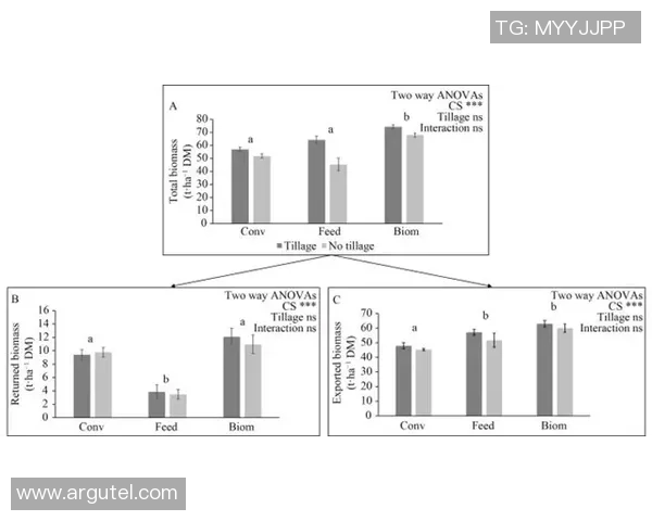 阿斯塔与尤马拉对决分析及双方近期状态评估